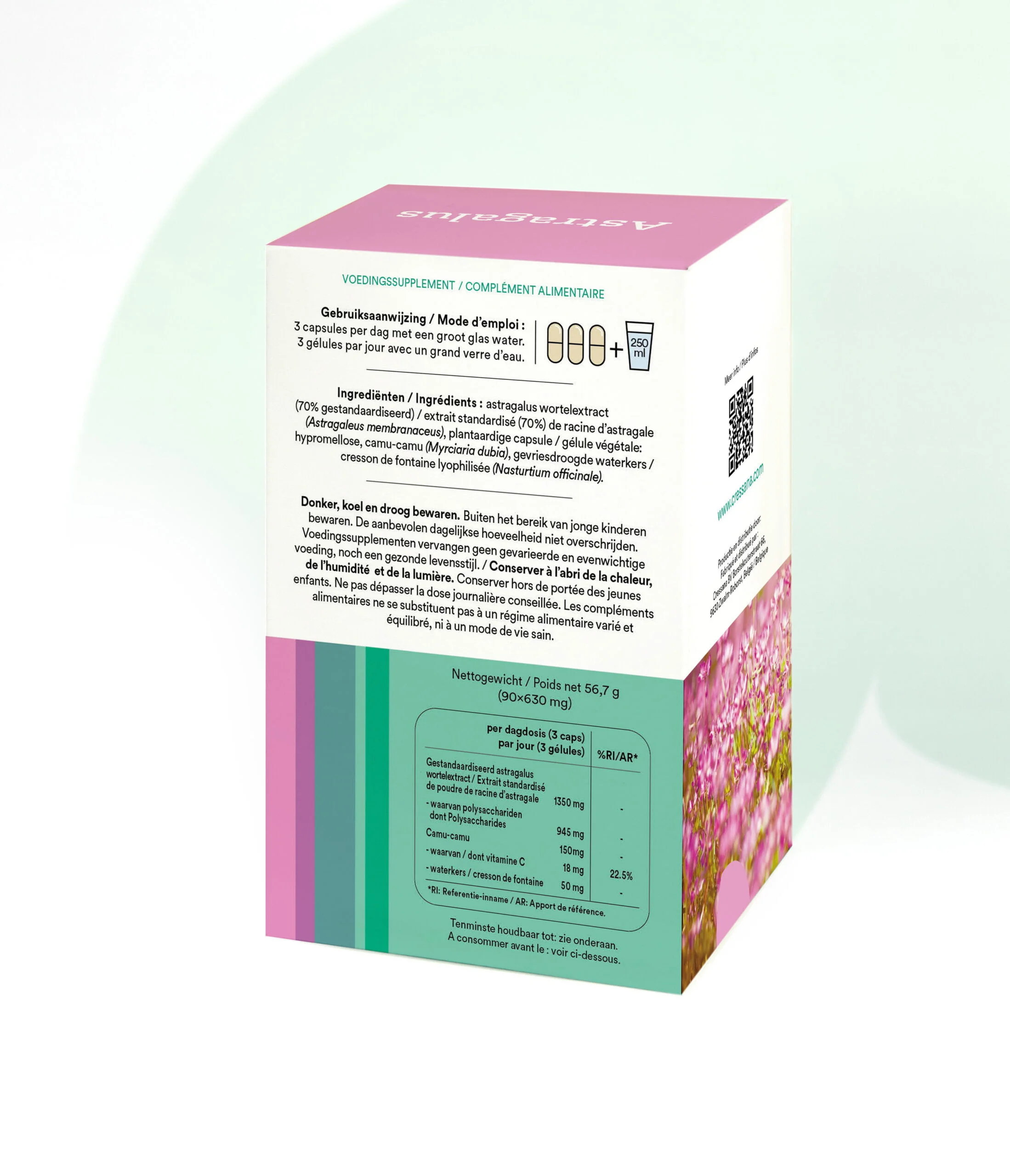 Astragalus 70% polysachariden - Afbeelding 2