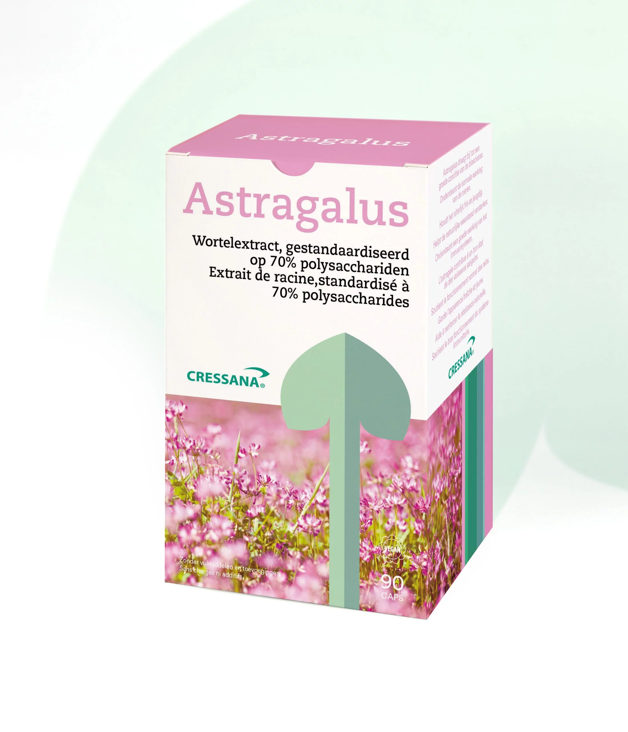 Astragalus 70% polysachariden
